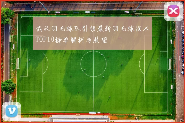 武汉羽毛球队引领最新羽毛球技术TOP10榜单解析与展望