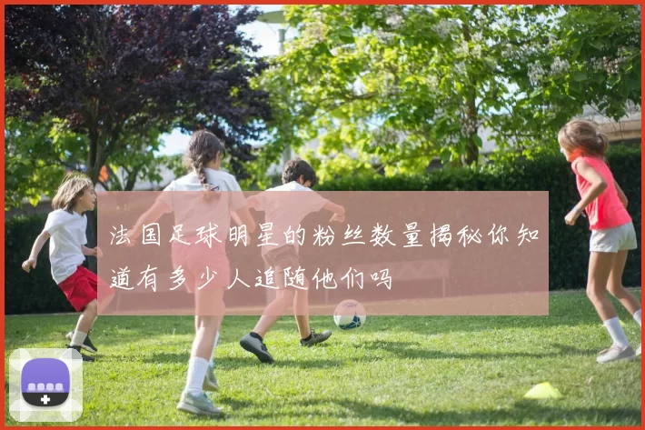 法国足球明星的粉丝数量揭秘你知道有多少人追随他们吗