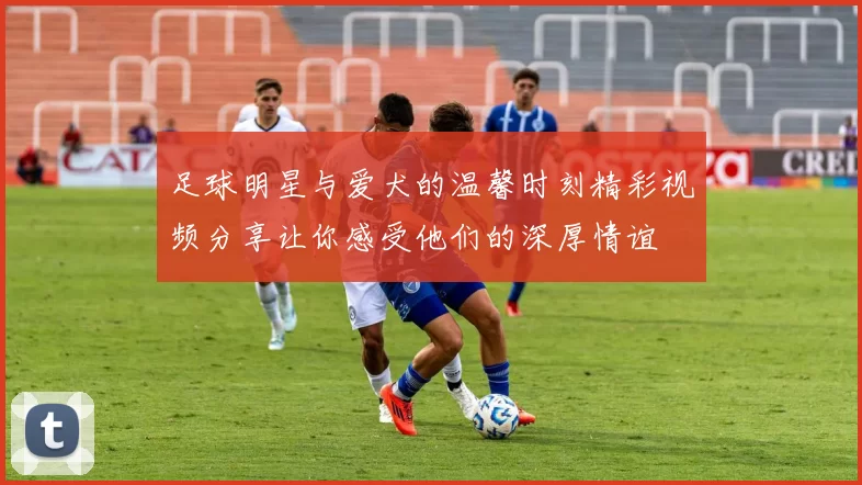 足球明星与爱犬的温馨时刻精彩视频分享让你感受他们的深厚情谊