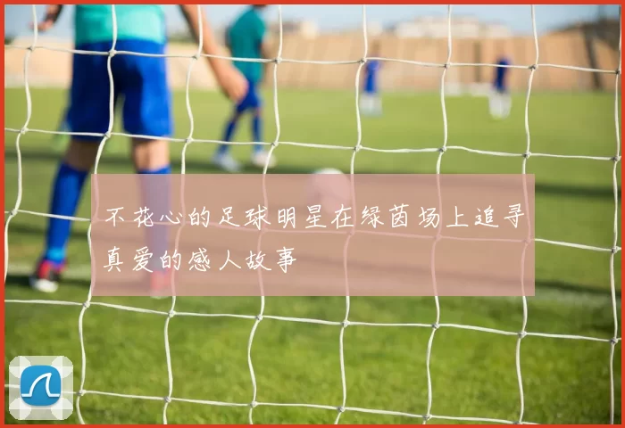 不花心的足球明星在绿茵场上追寻真爱的感人故事