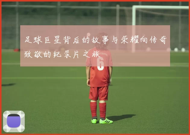 足球巨星背后的故事与荣耀向传奇致敬的纪录片之旅