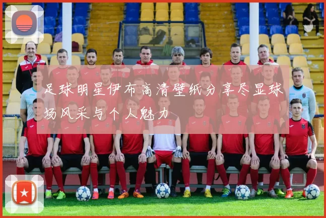 足球明星伊布高清壁纸分享尽显球场风采与个人魅力