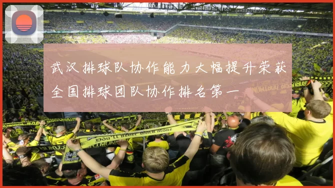 武汉排球队协作能力大幅提升荣获全国排球团队协作排名第一