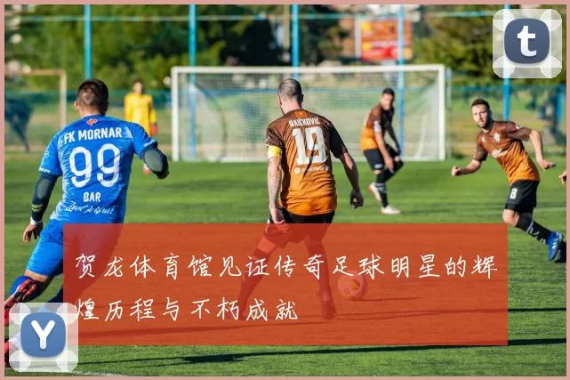 贺龙体育馆见证传奇足球明星的辉煌历程与不朽成就