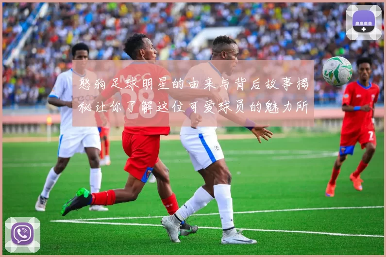 憨狗足球明星的由来与背后故事揭秘让你了解这位可爱球员的魅力所在