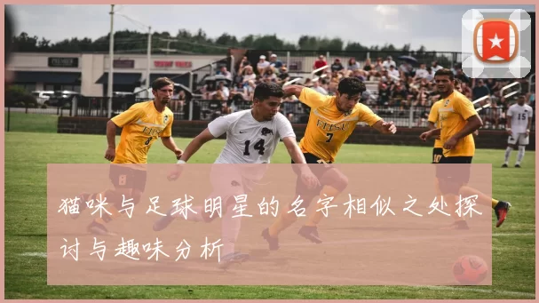 猫咪与足球明星的名字相似之处探讨与趣味分析