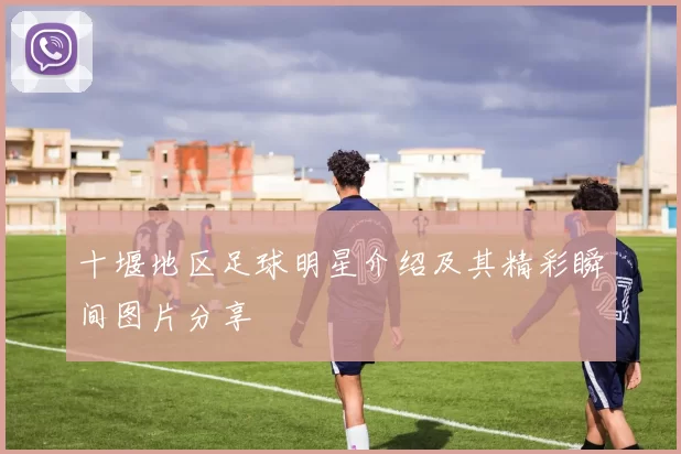 十堰地区足球明星介绍及其精彩瞬间图片分享