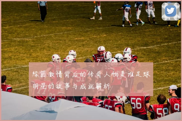 绿茵激情背后的传奇人物是谁足球明星的故事与成就解析